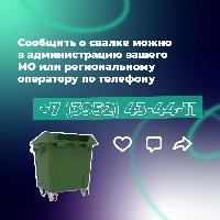 Сообщить о свалке можно в администрацию вашего МО или региональному оператору по телефону +7(3952)43-44-11