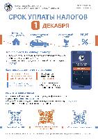Срок уплаты налогов - 1 декабря