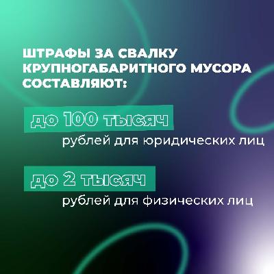 Штрафы за свалку крупногабаритного мусора