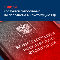 Почему проголосовать по поправкам в Конституцию будет безопаснее, чем сходить в магазин